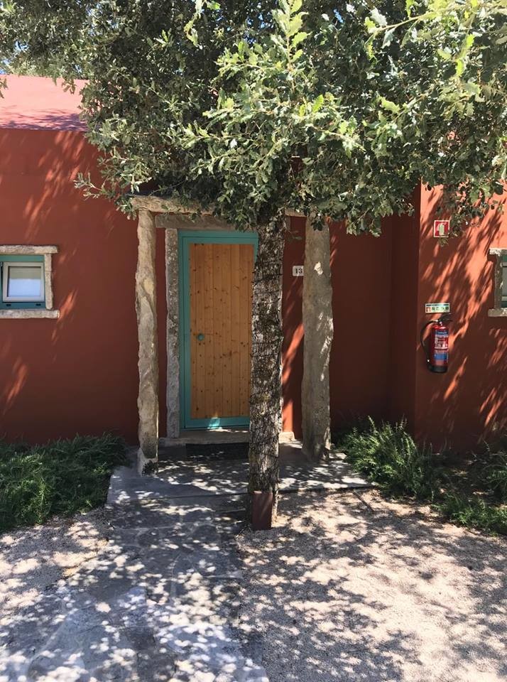 44157328_755373474802177_5819669476215357440_n.jpg 44157328_755373474802177_5819669476215357440_n.jpg