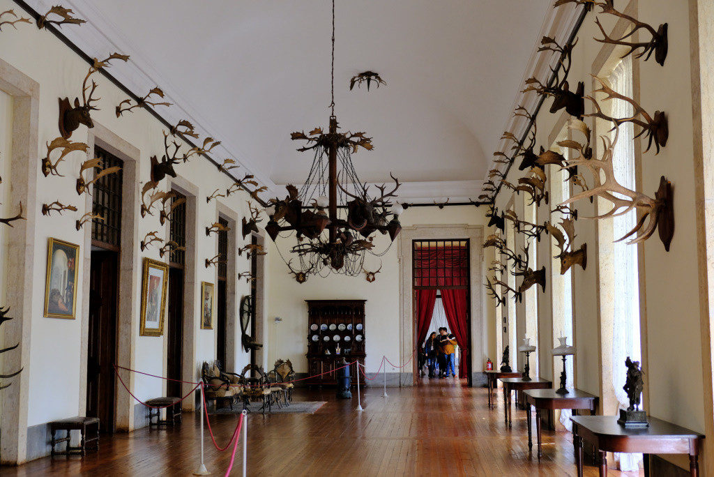 DSCF1166.jpg DSCF1166.jpg