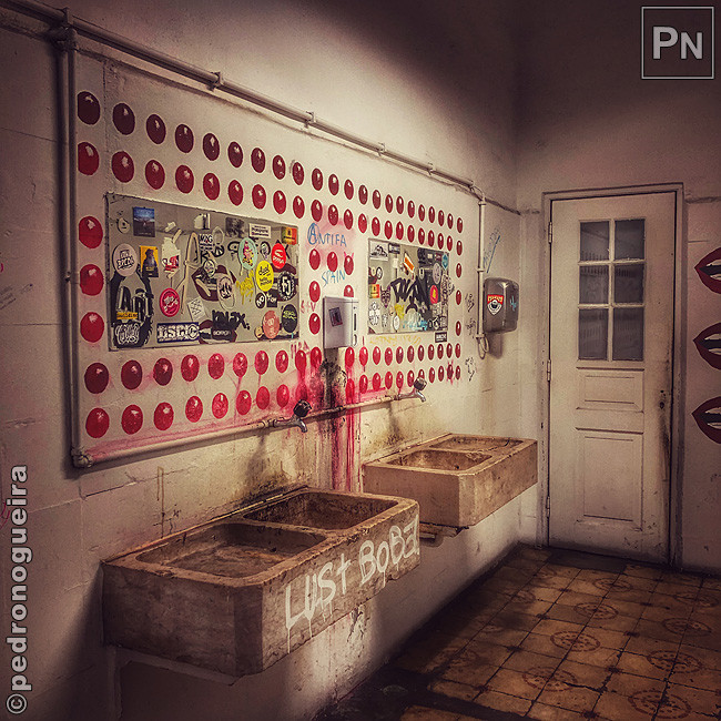 Jan_2019_048a 650px.jpg