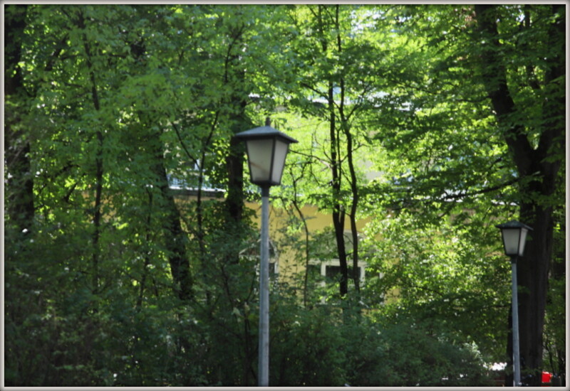 IMG_8580 - Cópia.JPG