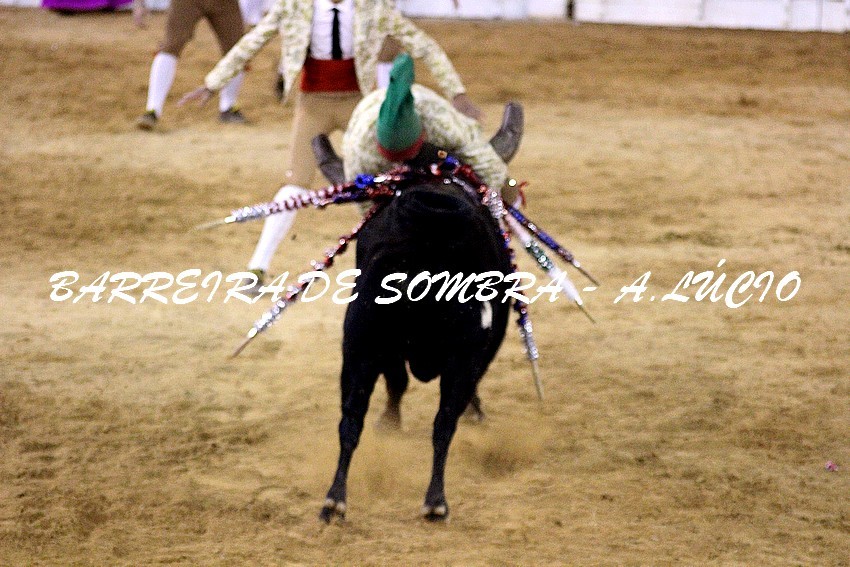 Amad Alcochete José Freire.JPG