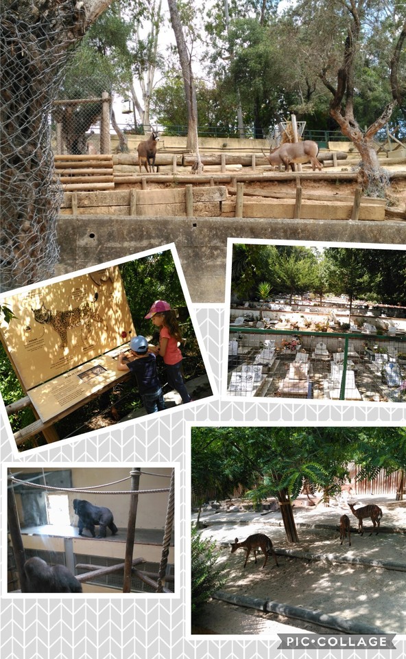 Collage 2017-08-31 23_18_21.jpg