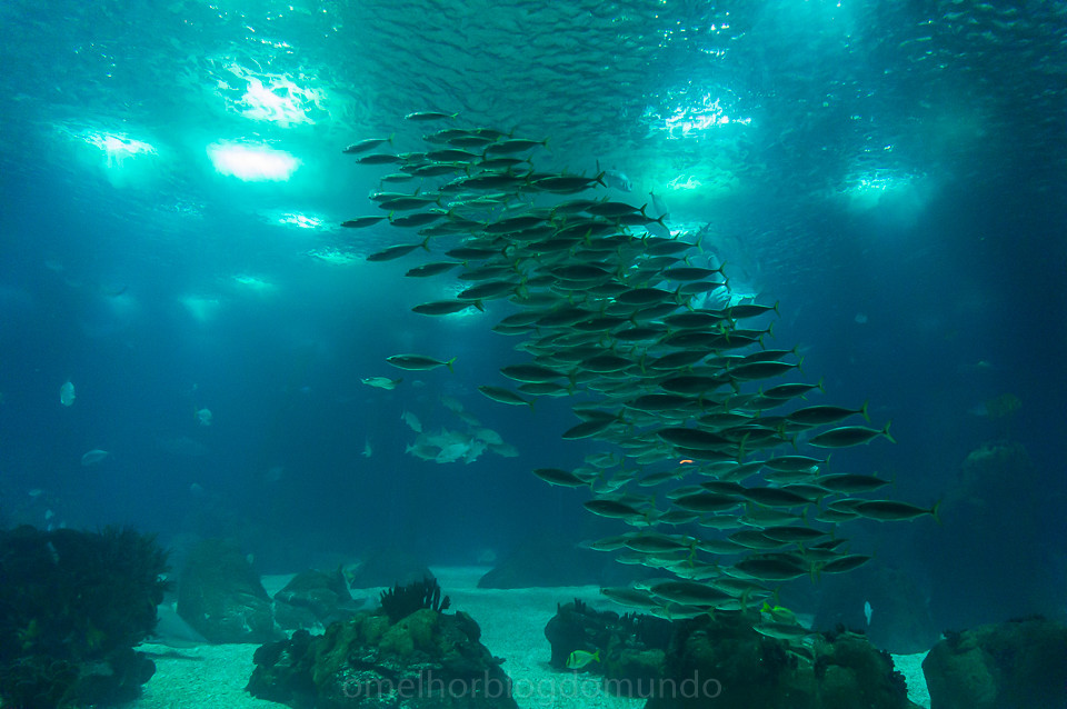 DSC00190.jpg DSC00190.jpg