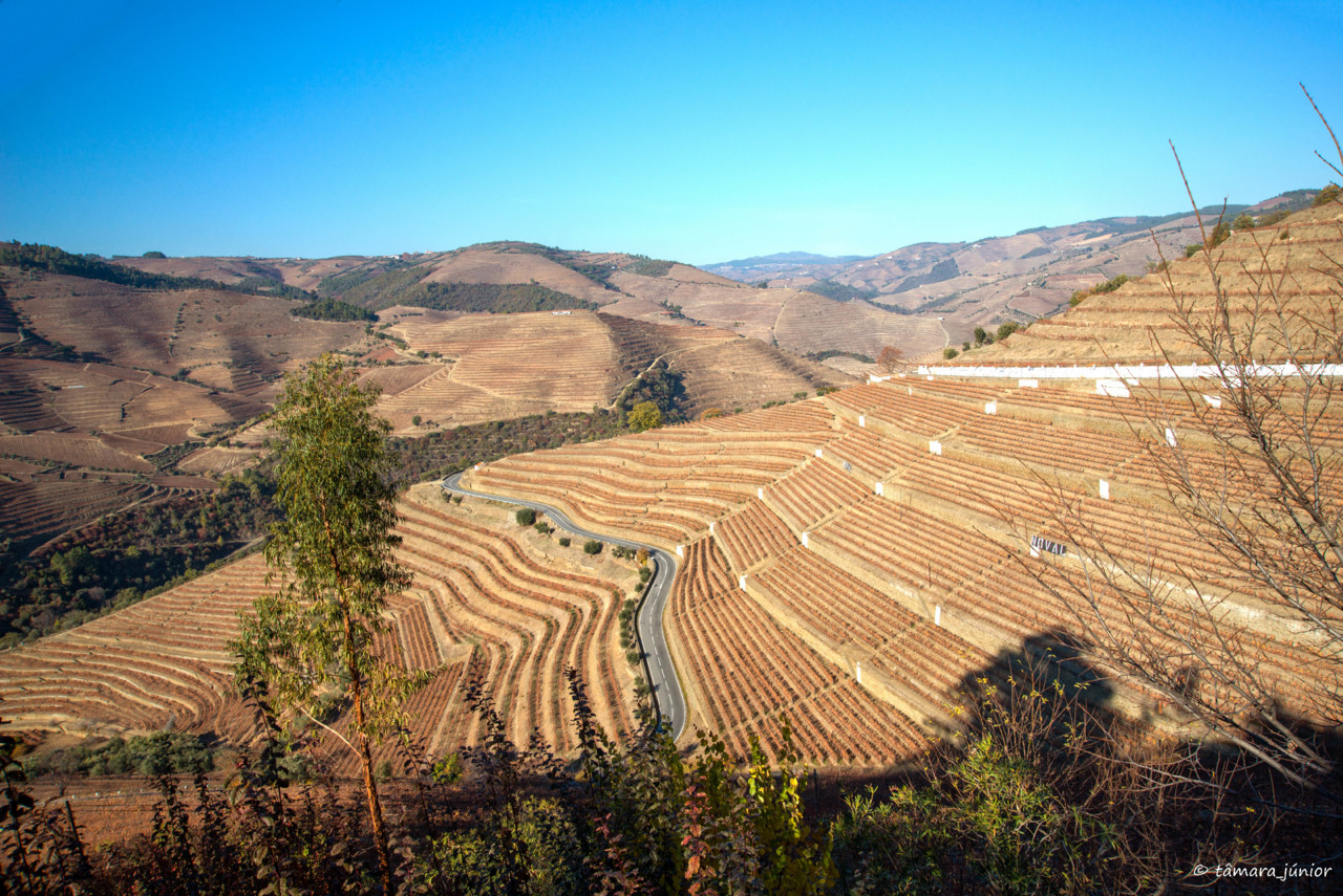 2017.- Pelo Douro no outono II (493).jpg 2017.- Pelo Douro no outono II (493).jpg