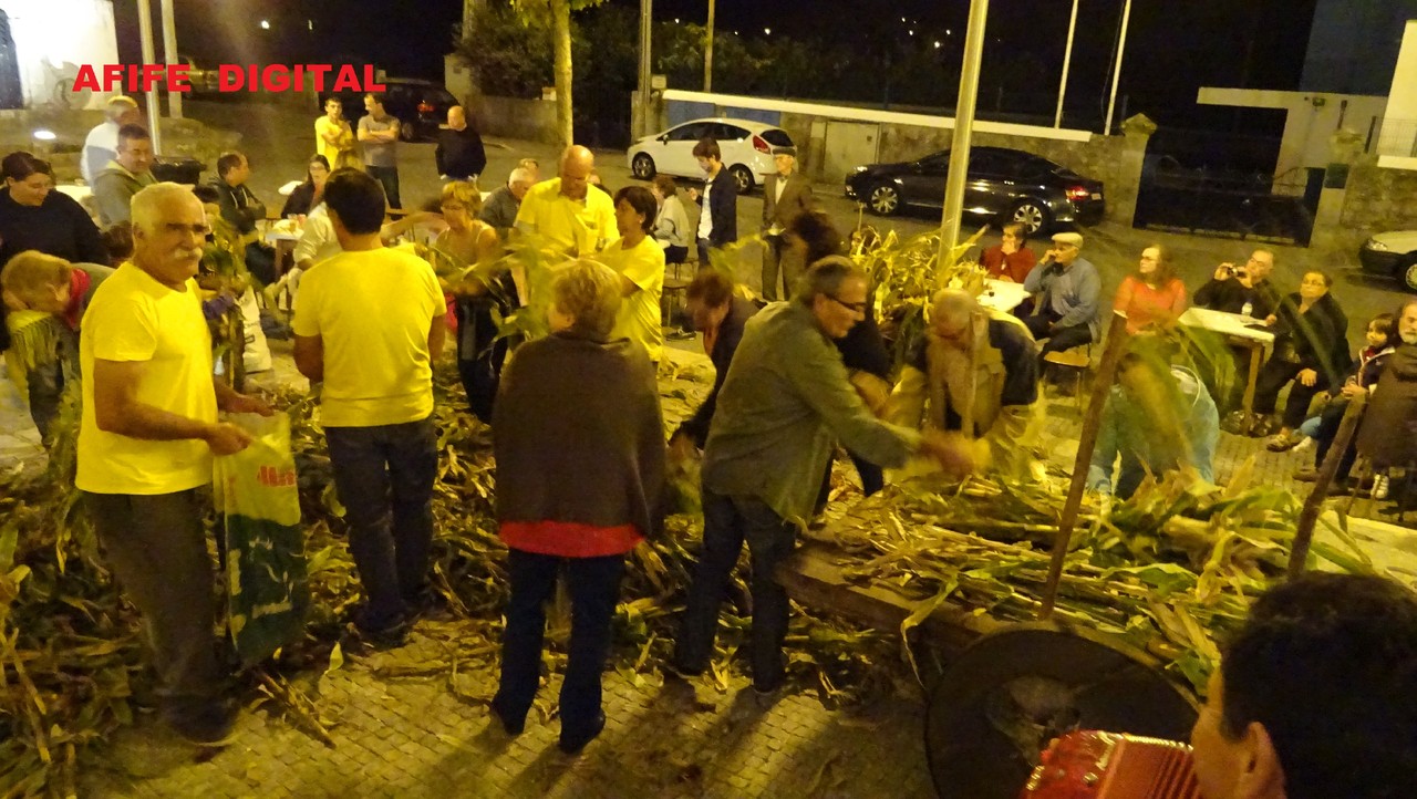 DSC02975.JPG DSC02975.JPG