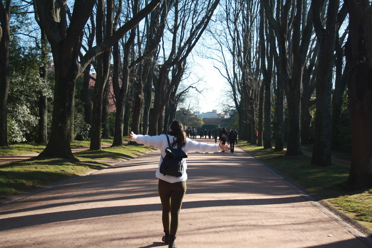 IMG_8037.JPG IMG_8037.JPG