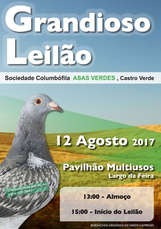 Leilão Asas Verdes.jpg
