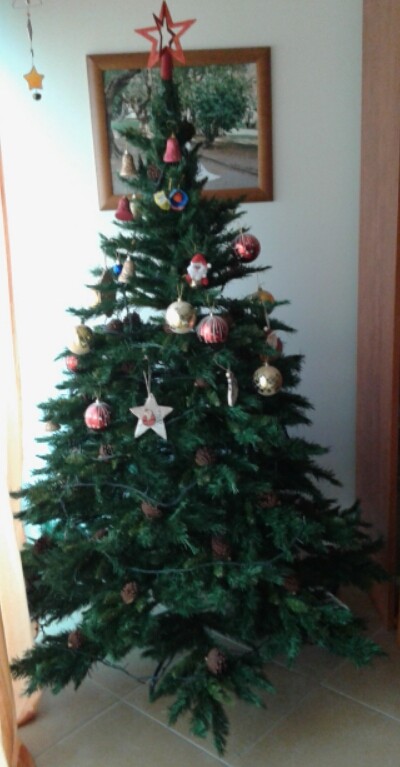 2015-12-07 11.15.23.jpg 2015-12-07 11.15.23.jpg