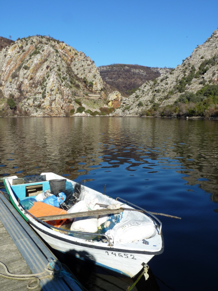 Conhal (20).jpeg Conhal (20).jpeg