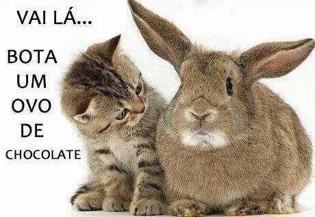 12439379_1142348869110667_7469663405729697941_n.jp 12439379_1142348869110667_7469663405729697941_n.jp