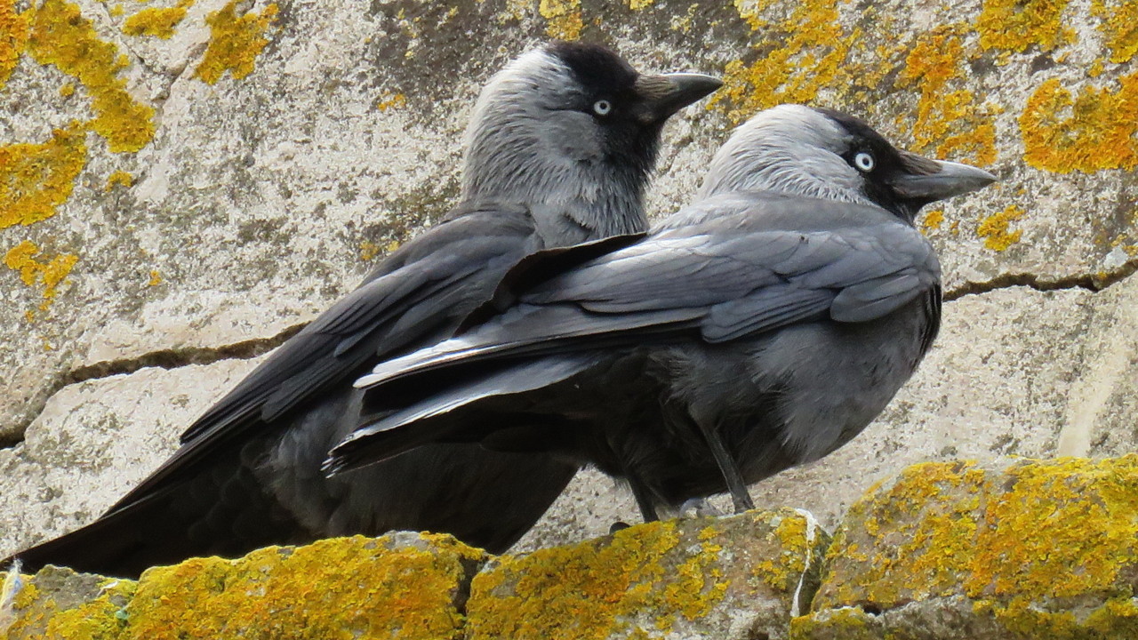 IMG_5731.jpg IMG_5731.jpg