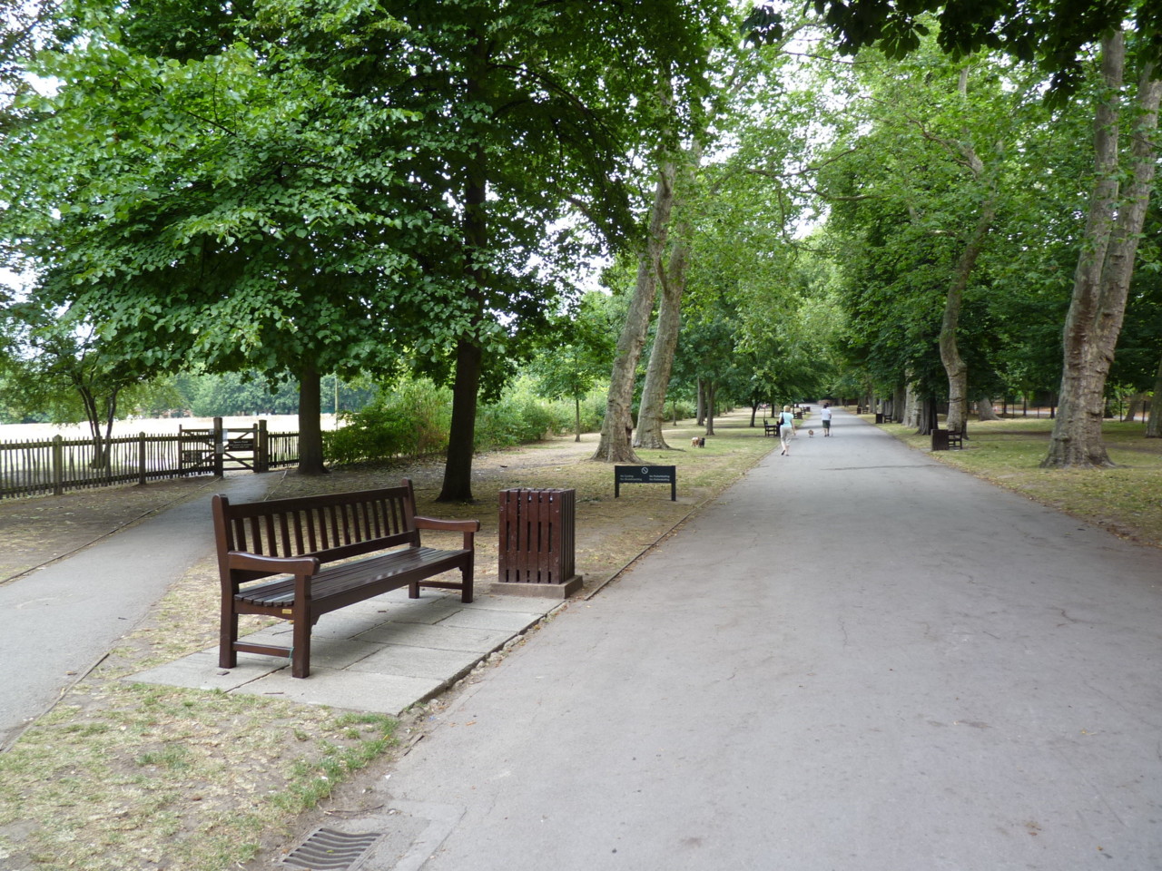 Londres-Holland Park (3005).JPG