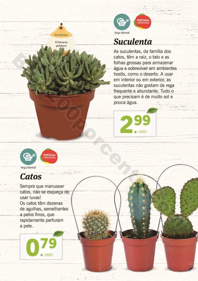 plantas_lidl_mercado_022.jpg
