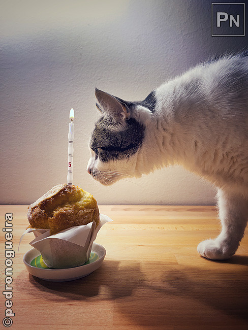 Abr_2021_053b 650px.jpg