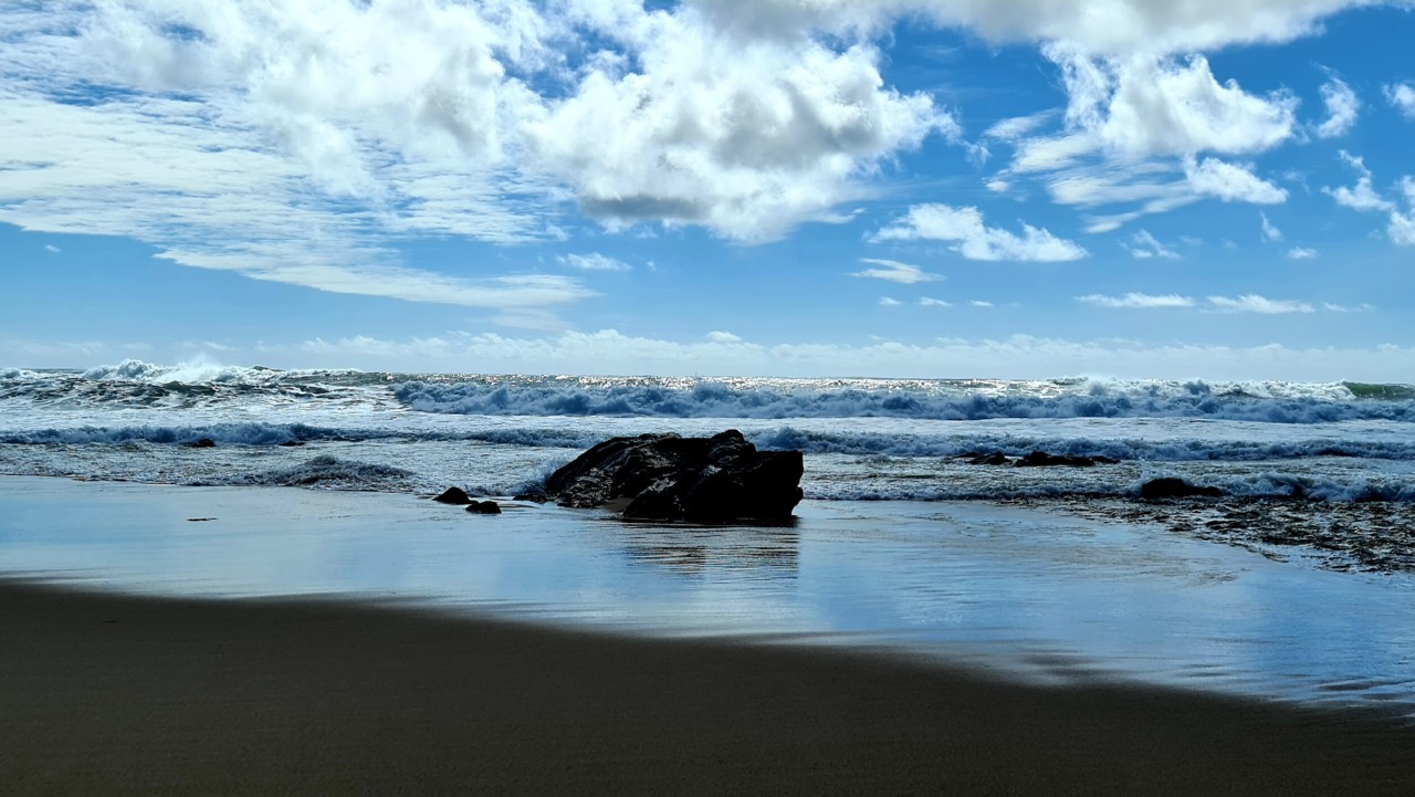 20210516_175947.jpg 20210516_175947.jpg