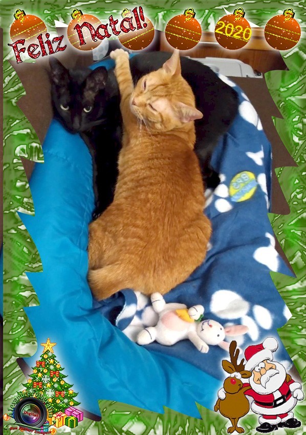 feliznatalino.jpg