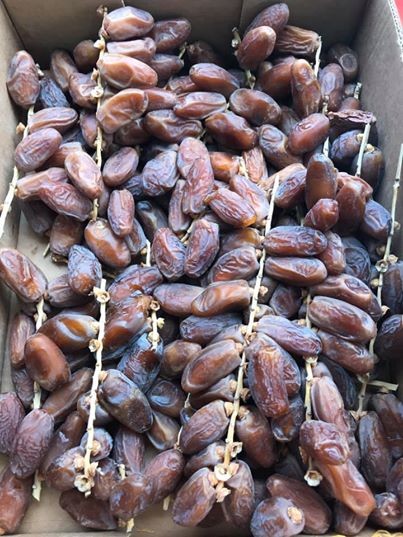 84023574_3013298882022588_3671182339171418112_n.jp