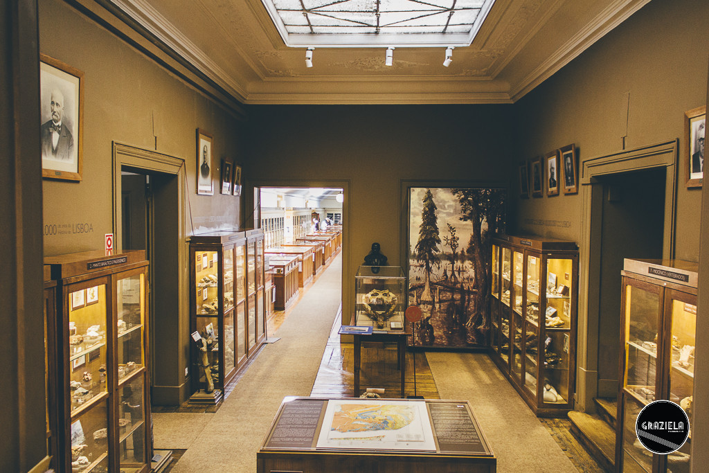Museu_Geologico_de_Lisboa-016990.jpg