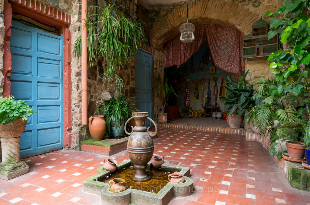 _DSC6322.jpg _DSC6322.jpg