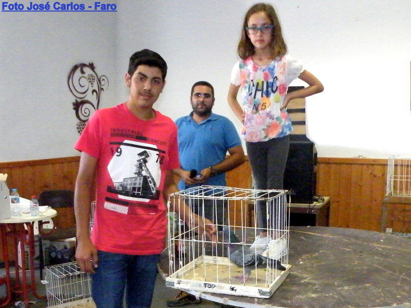 Leilão Ervidel 017.JPG