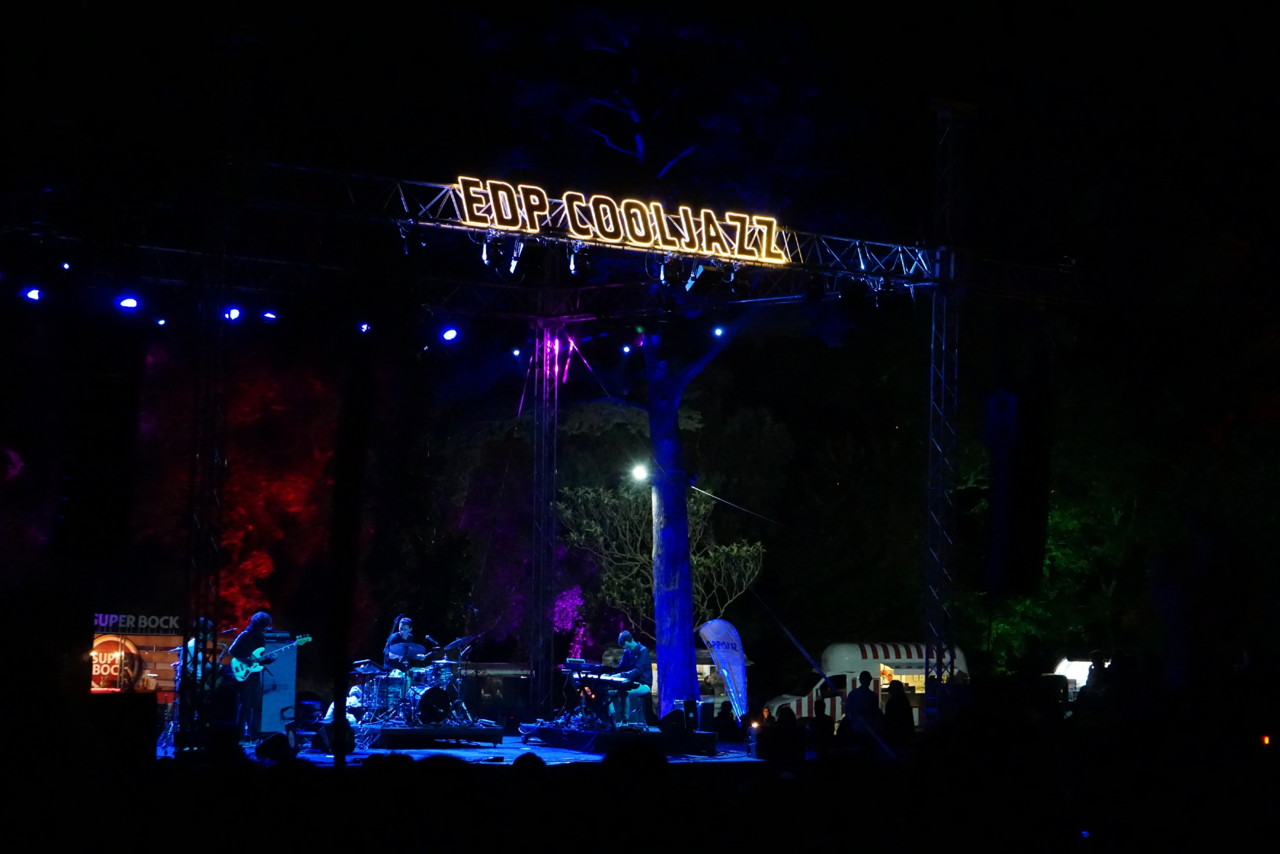 DSC07599.JPG DSC07599.JPG