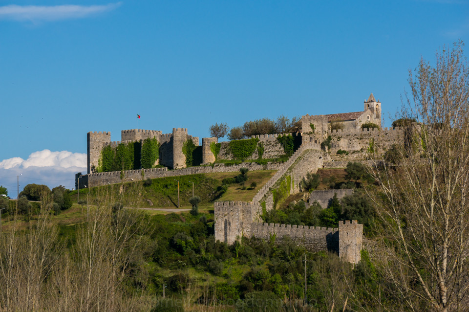 DSC01381.jpg DSC01381.jpg