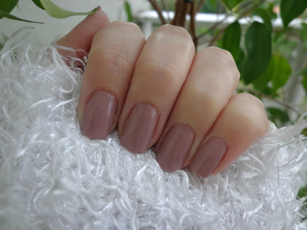 DSC04190.jpg DSC04190.jpg