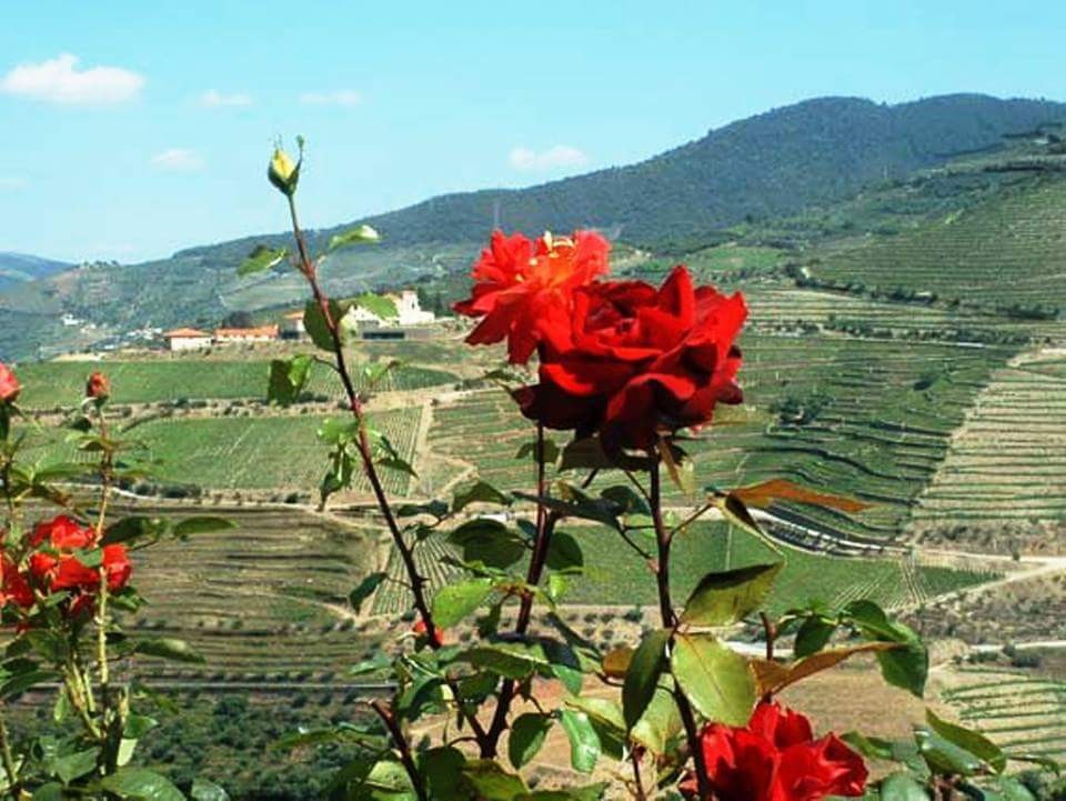 FB_IMG_1442594038082.jpg FB_IMG_1442594038082.jpg