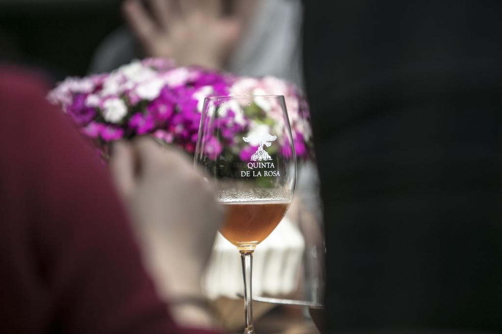 Douro & Cervejas Artesanais - Quinta de la Rosa