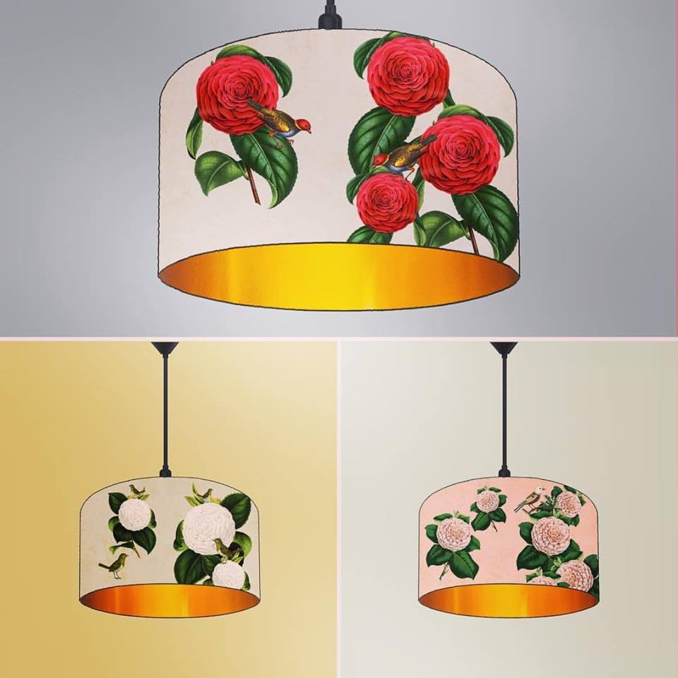 17022401_1364530970277647_3114572356249015879_n.jp