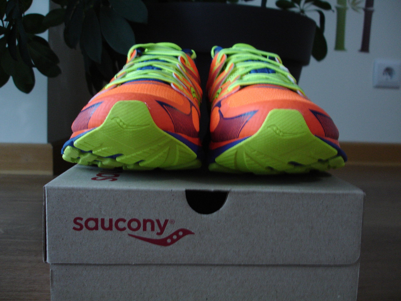 DSC00351.JPG DSC00351.JPG