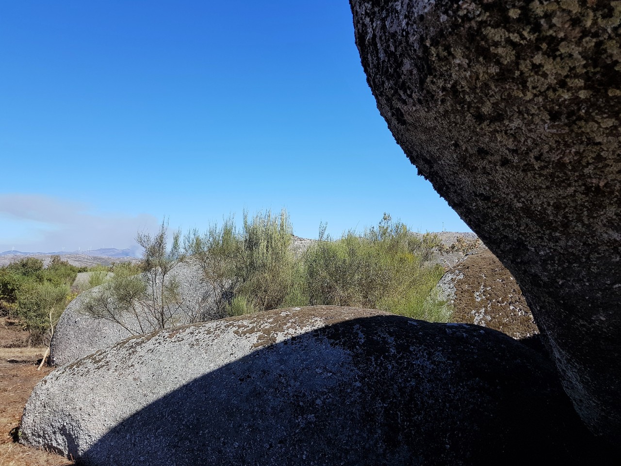 20171005_133153 (2).jpg