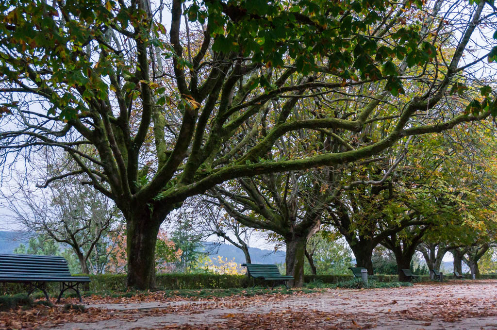 DSC03466.jpg DSC03466.jpg