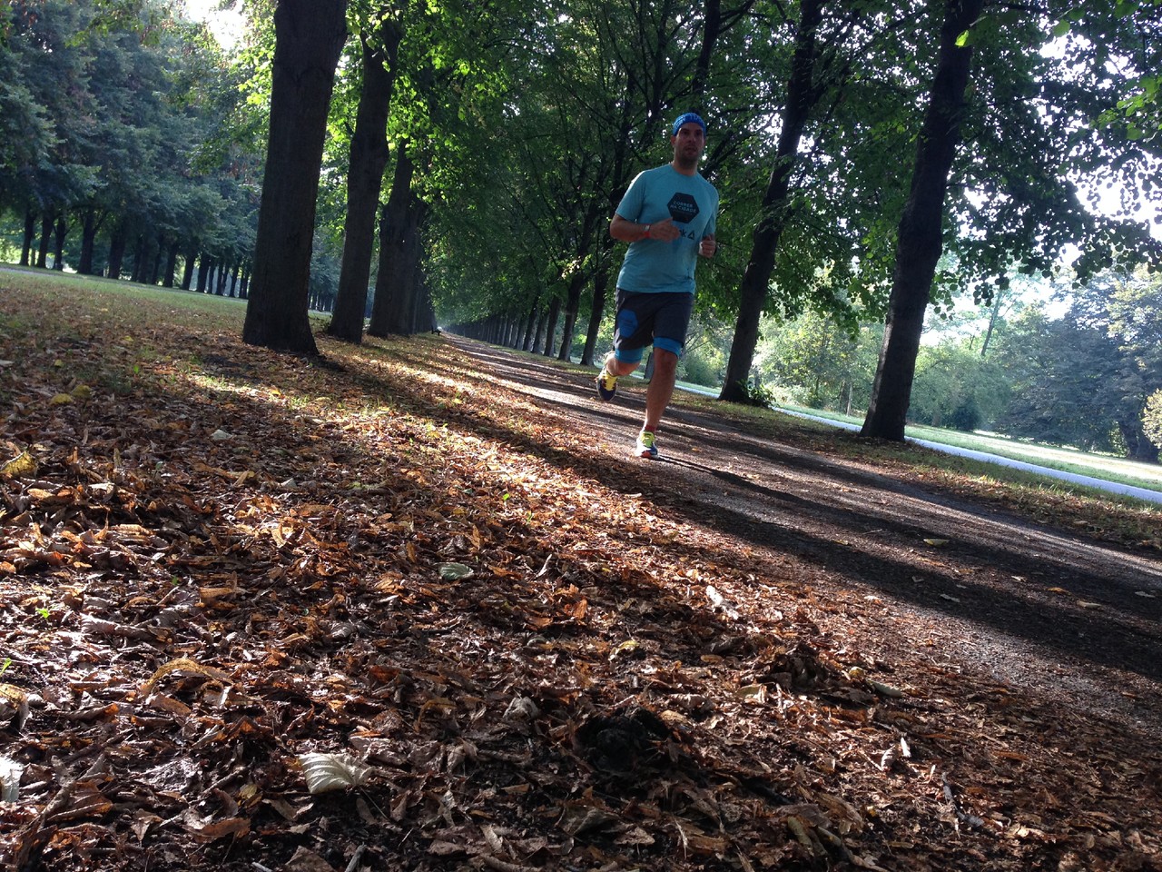 IMG_8252.JPG IMG_8252.JPG