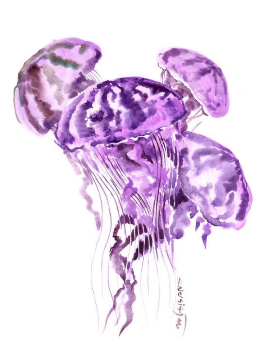 alforrecas.jpg alforrecas.jpg