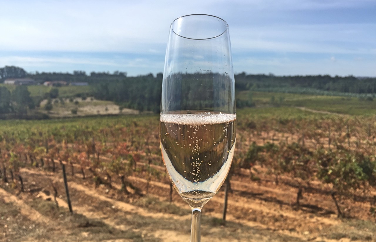 Encontro com vinhos e sabores 2018