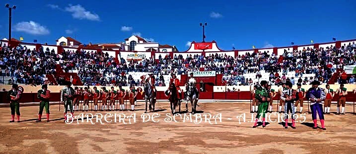 11 05 25 salvaterra.jpg