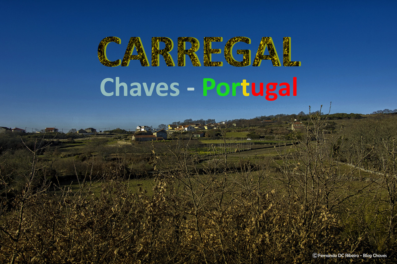 1600-carregal (179)-video.jpg