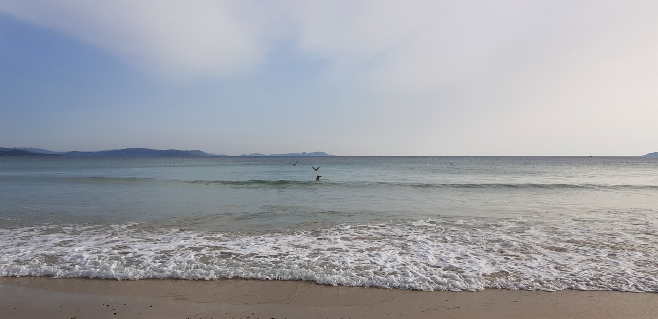 20190420_193140.jpg 20190420_193140.jpg