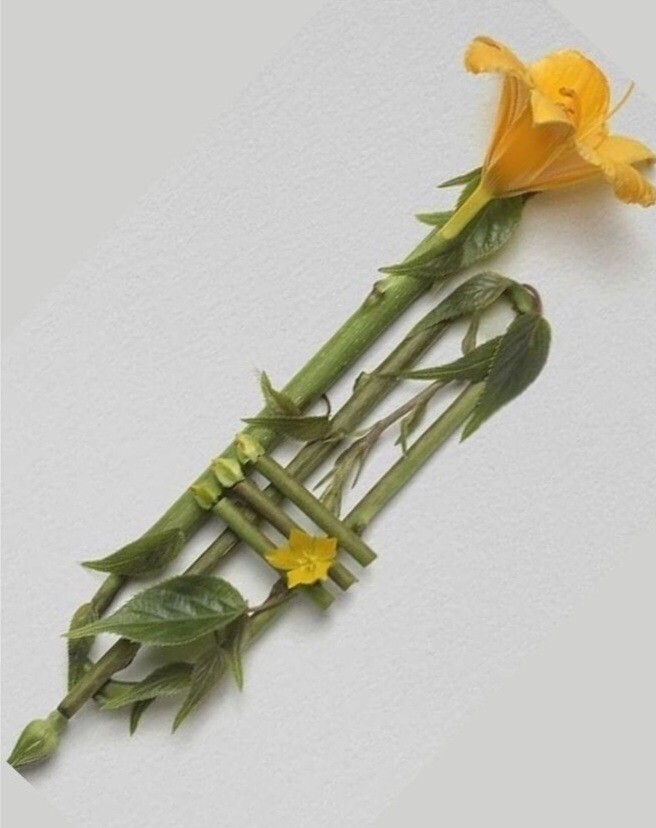 tumblr_848932ca9513df887983cc566fce958e_c6504b29_1