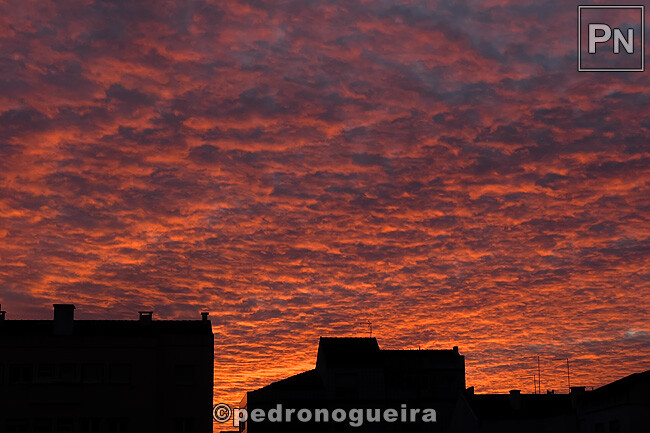 Dez_2025_005 650px.jpg