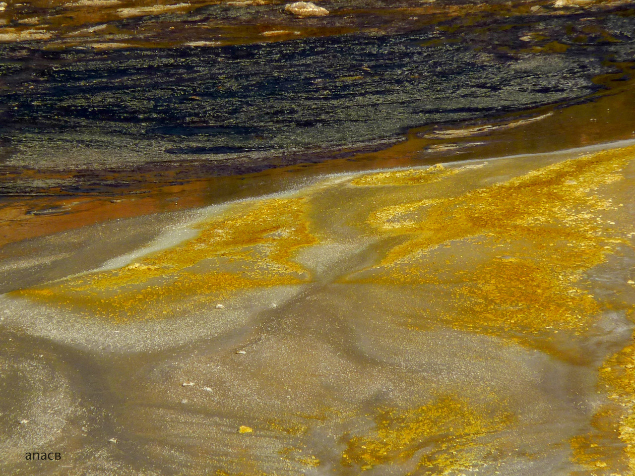 Mina S.Domingos (3).jpg