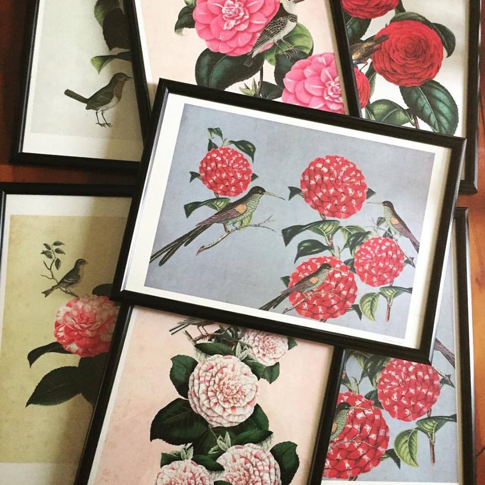 16999011_1365321033531974_5251711502939260119_n.jp