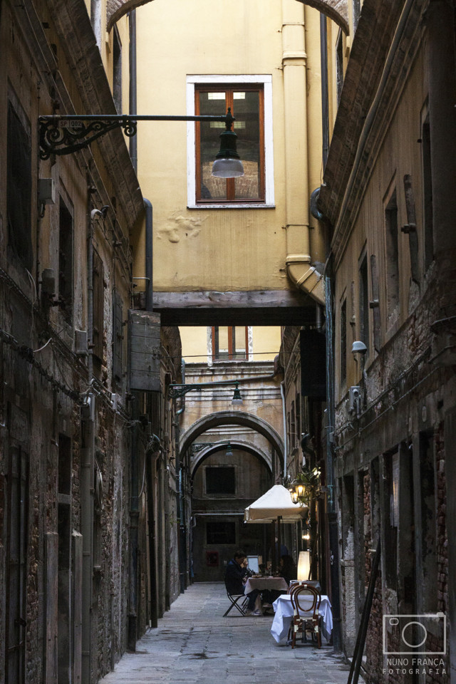 IMG_5567_net.jpg IMG_5567_net.jpg