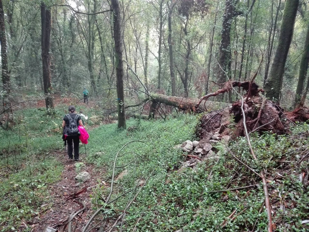 25346241_10215362659330531_323363893_o.jpg 25346241_10215362659330531_323363893_o.jpg