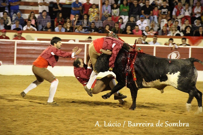 IMG_6971.JPG IMG_6971.JPG