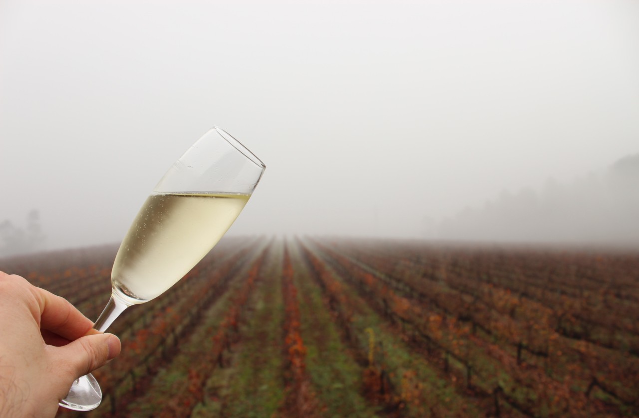 Monverde Wine Experience Hotel