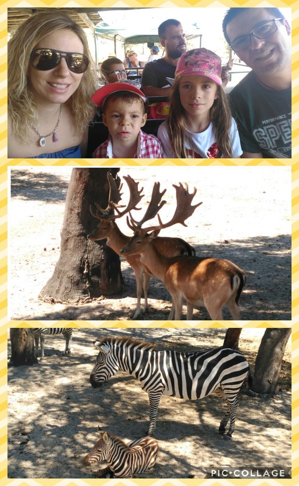 Collage 2017-07-22 22_44_56.jpg Collage 2017-07-22 22_44_56.jpg