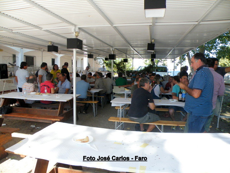 Leilão Asas Beja 2017 050.JPG