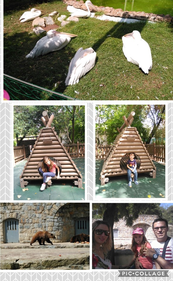 Collage 2017-08-31 23_16_03.jpg